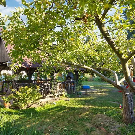 Noisette By Interhome Balatonkeresztur